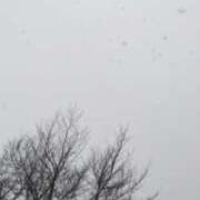 ヒメ日記 2025/03/31 22:16 投稿 みれい 横浜人妻セレブリティ（ユメオト）