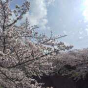 ヒメ日記 2025/04/09 08:15 投稿 みれい 横浜人妻セレブリティ（ユメオト）