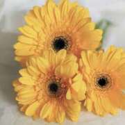 ヒメ日記 2025/07/21 17:47 投稿 みれい 横浜人妻セレブリティ（ユメオト）