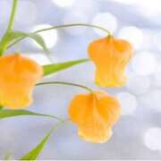 ヒメ日記 2025/07/27 17:47 投稿 みれい 横浜人妻セレブリティ（ユメオト）