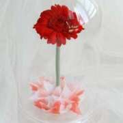 ヒメ日記 2025/07/29 16:58 投稿 みれい 横浜人妻セレブリティ（ユメオト）