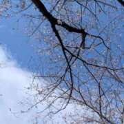 みれい 🌸 横浜人妻セレブリティ（ユメオト）