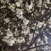 ヒメ日記 2025/04/05 05:09 投稿 真紀／まき 五反田アネージュ（ユメオト）