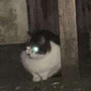 ヒメ日記 2025/05/29 04:00 投稿 真紀／まき 五反田アネージュ（ユメオト）