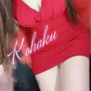 ヒメ日記 2025/05/08 12:04 投稿 こはく ELLE