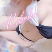 ヒメ日記 2025/05/10 15:37 投稿 こはく ELLE