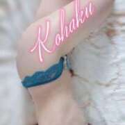 ヒメ日記 2025/05/13 00:18 投稿 こはく ELLE