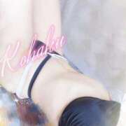 ヒメ日記 2025/05/13 23:51 投稿 こはく ELLE