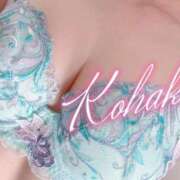 ヒメ日記 2025/05/14 09:36 投稿 こはく ELLE