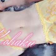 ヒメ日記 2025/05/14 15:01 投稿 こはく ELLE