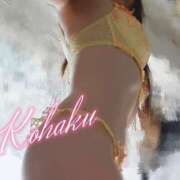 ヒメ日記 2025/05/15 15:01 投稿 こはく ELLE