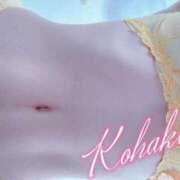 ヒメ日記 2025/05/19 16:30 投稿 こはく ELLE