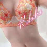 ヒメ日記 2025/05/21 11:15 投稿 こはく ELLE