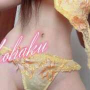 ヒメ日記 2025/05/24 15:40 投稿 こはく ELLE