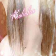 ヒメ日記 2025/05/25 15:21 投稿 こはく ELLE