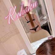 ヒメ日記 2025/05/29 15:30 投稿 こはく ELLE