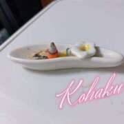 ヒメ日記 2025/05/31 12:04 投稿 こはく ELLE