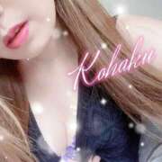 ヒメ日記 2025/06/02 09:42 投稿 こはく ELLE