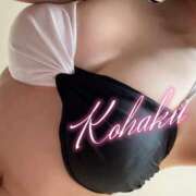 ヒメ日記 2025/06/03 12:03 投稿 こはく ELLE