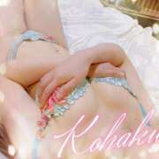 ヒメ日記 2025/06/04 10:15 投稿 こはく ELLE