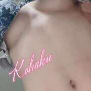 ヒメ日記 2025/06/07 19:38 投稿 こはく ELLE