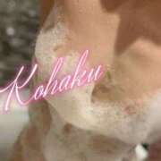 ヒメ日記 2025/06/11 00:21 投稿 こはく ELLE