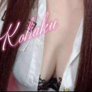 ヒメ日記 2025/08/06 19:34 投稿 こはく ELLE