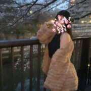 ヒメ日記 2025/05/02 17:44 投稿 瀬川杏奈 青山ヴェルグ