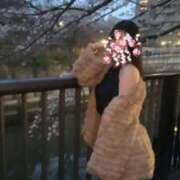 ヒメ日記 2026/03/13 14:58 投稿 瀬川杏奈 青山ヴェルグ