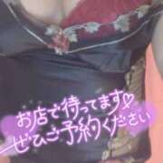 ヒメ日記 2025/03/16 07:04 投稿 美香（み　か） ビッグバード