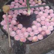 ヒメ日記 2025/03/25 22:34 投稿 美香（み　か） ビッグバード