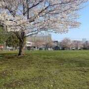 ヒメ日記 2025/04/09 10:36 投稿 美香（み　か） ビッグバード