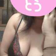 ヒメ日記 2025/04/09 21:04 投稿 美香（み　か） ビッグバード