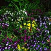 ヒメ日記 2025/04/28 12:24 投稿 美香（み　か） ビッグバード