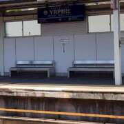 ヒメ日記 2025/06/27 13:24 投稿 美香（み　か） ビッグバード