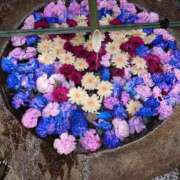 ヒメ日記 2025/11/08 13:34 投稿 美香（み　か） ビッグバード