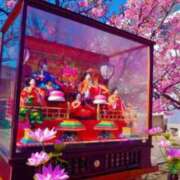 ヒメ日記 2026/02/21 12:35 投稿 美香（み　か） ビッグバード