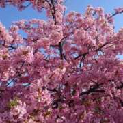 美香（み　か） OYASUMI！ ビッグバード