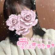 ヒメ日記 2025/02/12 15:48 投稿 みあ ぷるるん小町梅田店