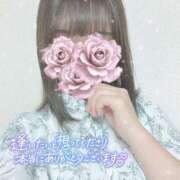 ヒメ日記 2025/02/13 01:00 投稿 みあ ぷるるん小町梅田店