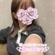 ヒメ日記 2025/06/24 19:04 投稿 みあ ぷるるん小町梅田店