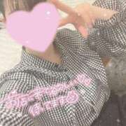 ヒメ日記 2025/09/14 19:30 投稿 みあ ぷるるん小町梅田店