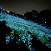 ヒメ日記 2025/05/15 00:27 投稿 いずみ スピード日本橋店