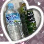 ヒメ日記 2025/04/08 14:50 投稿 みつき 大阪和泉ちゃんこ