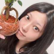 ヒメ日記 2025/06/17 01:03 投稿 ♪みみ 水色りぼん