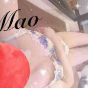 ヒメ日記 2025/02/08 17:23 投稿 室井　まお スタイリッシュ秘書