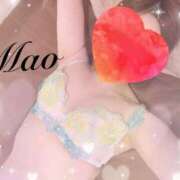 ヒメ日記 2025/02/12 10:15 投稿 室井　まお スタイリッシュ秘書