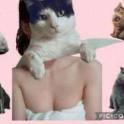 ヒメ日記 2025/10/21 18:31 投稿 ひろみ 手コキ研究会