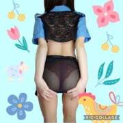 ヒメ日記 2025/11/12 18:51 投稿 ひろみ 手コキ研究会