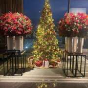 ヒメ日記 2025/12/20 12:56 投稿 礼奈(れいな) 人妻出逢い会 百合の園 新宿店